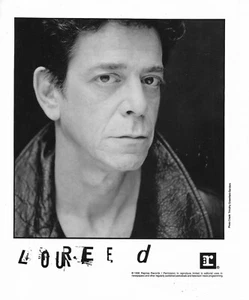 8 x 10 B/W Photo [Promo] * by Lou Reed (1998, Reprise) - Picture 1 of 1