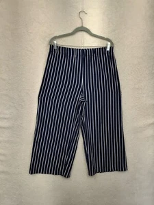 Counterparts Women Shorts Medium Blue Stripped Poly B High Rise Pull On Culotte - Picture 1 of 19