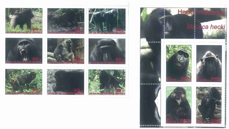 Stamp sheet+block Heck's Macaque 2020 Korea issue Monkeys - Image 1 of 1
