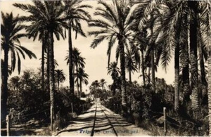 PC TRIPOLI FERROVA NELL' PASI EISENBAHN LYBIEN (a34817) - Bild 1 von 2