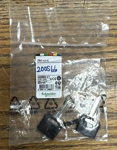 SCHNEIDER ZBG 421E KEY PACKAGE OF 2 KEYS **NEW IN BAG** - Bild 1 von 3