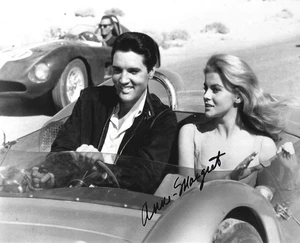 MOVIE LEGEND ANN MARGRET SIGNED 8X10 VIVA LAS VEGAS RUSTY MARTIN ELVIS PRESLEY - Picture 1 of 1