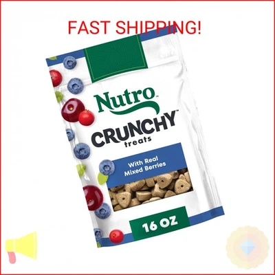Nutro Crunchy Dog Treats with Real Mixed Berries, 16 oz. Bag - Image 1 of 2