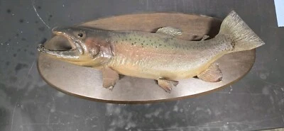 Taxidermia de peces de montaje en pared de trucha de colección rara  Foto 1 de 4