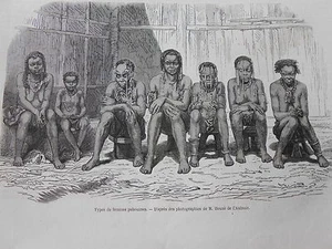 Gravure 1866 - Types de femmes Pahouines - Picture 1 of 1