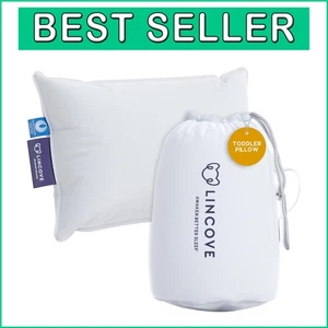 Small Cotton Pillow for Toddlers - Perfect for Naps, Travel & Cots - 13x18 - Picture 1 of 9