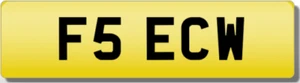 ECW FS FSE CW EW F5 privates geschätztes Kennzeichen seltenes 5-stelliges ECW-Schild - Bild 1 von 1
