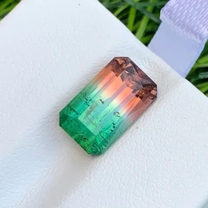 4,95 Karat Bicolor Turmalin Scherenschliff Natur Afghani Lose Lose Edelstein - Bild 1 von 4