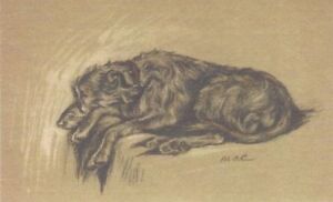 - Irish Wolfhound - Dog Art Print - Dawson Clearance