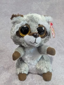 Ty Beanie Boo Oakie The Racoon 15cm - Picture 1 of 3