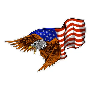 American Eagle USA Flag Bumper Sticker Military Vinyl Soldier Decal 5" - Picture 1 of 3