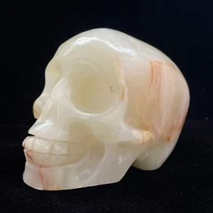616g Natural Polished Afghan Jade Skull Carving Crystal Mineral Reike Healing F8 - Picture 1 of 11