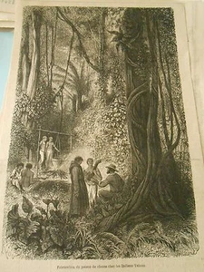 Gravure 1868 - Fabrication du Poison de chasse chez les Indiens Yahuas - Picture 1 of 1
