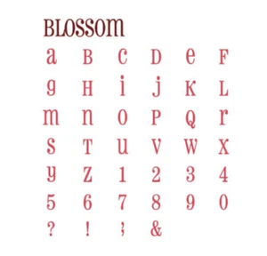 QuicKutz BLOSSOM 2x2" Alphabet Die Set Letters, Numbers, Punct. w/Foam & Basket - Picture 1 of 9