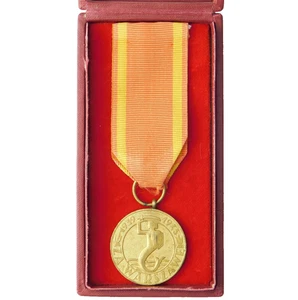 4589 WW2 MEDALLA POLACA PARA WARSOVIA 1939-1945 POLONIA - Imagen 1 de 6