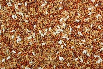 LEACH GRAIN AND MILLING CO. Royal Feeds Dove Mix - Mix of Grains & Seeds Loved by Doves and Pigeons (5 lbs)