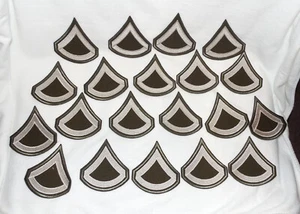 10 Sets 2 Army Green Service Uniform AGSU Sew On Chevron Private 1st Cls AGSU LG - Picture 1 of 7