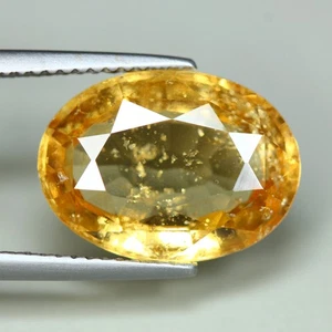 8.22 Cts_Rare Gemstone_100 % Natural Unheated Golden Yellow Hessonite Garnet - Imagen 1 de 3