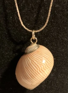 Goldfarbene Halskette Muschel Anhänger Vintage - Bild 1 von 15