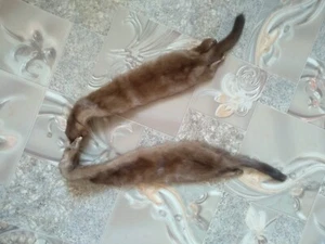 VINTAGE  REAL FUR  MINK WRAP SCARF - Picture 1 of 4