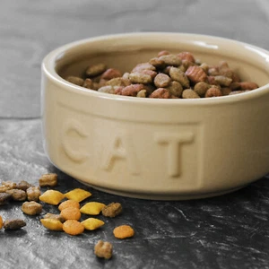 Small 12cm Ceramic Cat Bowl Strong Food Biscuit Water Kitten Deep Feeding Dish - Picture 1 of 3