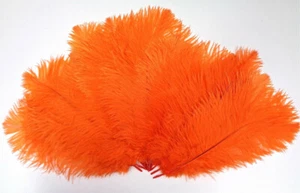 Tangerine Orange Ostrich Feathers – 8–12 Inches (Set of 6) | Hand Selected by La - Picture 1 of 3