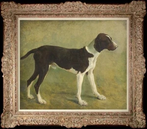 handmade Antique Oil Painting art animal Portrait hunting dog on canvas 20"x24" - Picture 1 of 2
