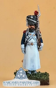 Handpainted French Sappers infantry Napoleonic Wargames collection miniature - Picture 1 of 5