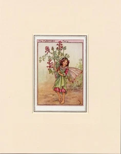 FUMITORY FLOWER FAIRY Original Vintage 1940's Cecily Mary Barker Print Mounted - Bild 1 von 1