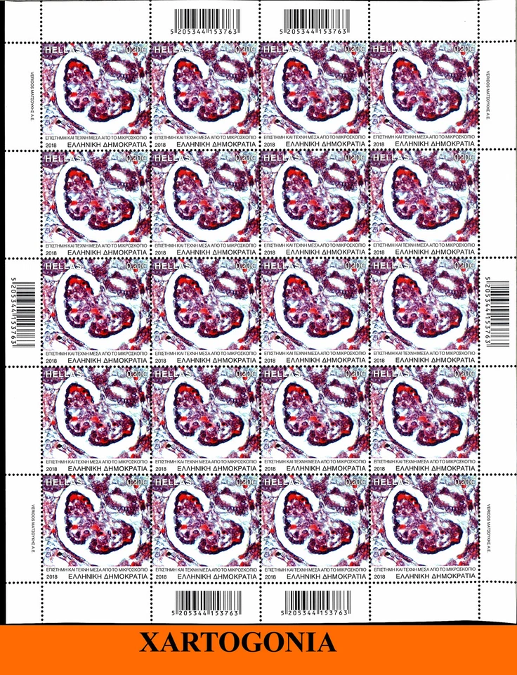 GRECIA 2018, CIENCIA - ARTE A TRAVÉS DEL MICROSCOPIO, SELLOS, 0,20 EUROS, HOJA COMPLETA, MNH Foto 1 de 1