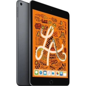 Apple iPad Mini 5th Gen - 64GB (Wifi Only) - Space Gray - Picture 1 of 3
