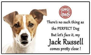 Jack Russell Liebhaber Geschenk - perfekter Hund - Spaß Neuheit flexibel 5" x 3" Magnet - Bild 1 von 2