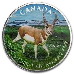 2013 Canada RCM Full Color Pronghorn Antelope Wildlife 1 oz Silver 0.9999 coin - Picture 1 of 3