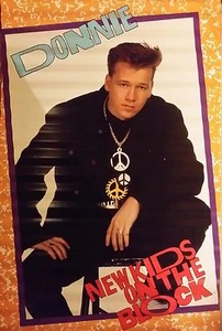 VINTAGE SEALED ORIGINAL NEW KIDS ON THE BLOCK NKOTB DONNIE 1989 Poster 34X22" - Foto 1 di 3