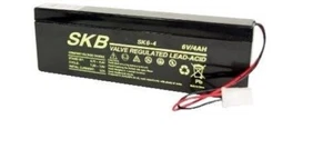 BATTERIA 6V 4A PIOMBO GELERMETICA LAMPADA EMERGENZA OVA ALLARME SKB*COME FG10406 - Foto 1 di 2