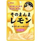 Lion, Sonomanma Dried  / Lemon Peel, 25g, Japanese Candy