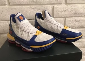 NIKE LEBRON XVI SB Superbron Men’s Size 11/W12.5 Basketball Sneaker/Shoes NEW - Picture 1 of 11