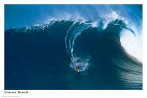 SURFER BIG WAVE POSTER SURFING SUNSET BEACH 24X36 - PRINT IMAGE PHOTO -F10 - Picture 1 of 1