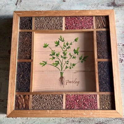 Arte de pared con marco de madera de perejil conjunto de semillas y hierbas decoración boho retro vintage Foto 1 de 4