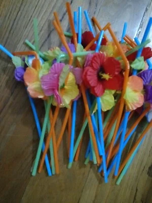 Pajitas de hibisco de seda Fun Express 24 quilates Foto 1 de 2