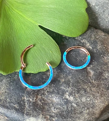 Anillo segmento bisagras borde frontal ópalo clicker tabique acero Daith aro joyería 1 pieza Foto 1 de 4