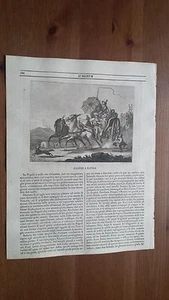 1838 L'Album Belle Arti: Calessi in Neapel - Bild 1 von 1