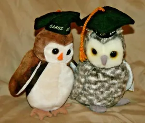 2 Beanie Baby Owls WISE CLASS OF 07 and Smart 2001 Errors - Picture 1 of 10