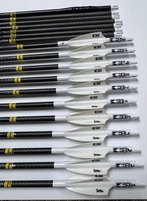 18 - Victory VF TKO V1 Elite 300 Foto 1 de 4