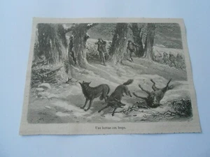 Gravure 1876 - Une battue de Loups - Picture 1 of 1