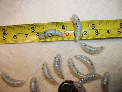 300-7/8英寸-crappie-panfish-trout-scent-grubs-soft塑料蜡蠕虫-夹具-maggots — 第 1/4 张图片
