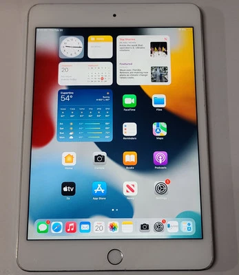 Apple iPad mini 4. Gen A1538, 16GB, Wi-Fi, 7,9", Silber, Hintergrundbeleuchtung: IA448 - Bild 1 von 4