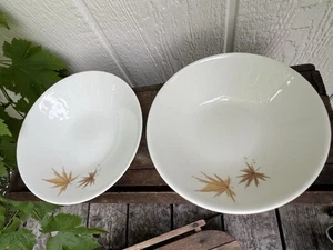 Informelles True China von IROQUOIS 2er Set Suppenschalen HARVEST Time Ben Seibel Herbst - Bild 1 von 14