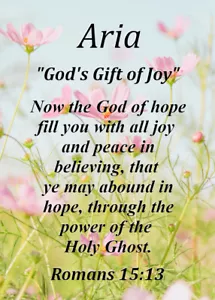 Tarjeta de significado con nombre de recuerdo de Aria ""God's Gift of Joy"" con versículo bíblico - Imagen 1 de 1
