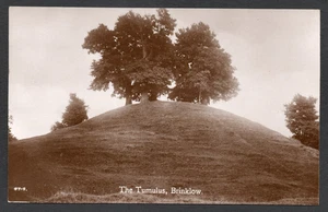 Postcard Brinklow nr Coventry Warwickshire trees on The Tumulus RP by Lewin - Picture 1 of 2